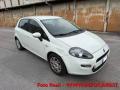 usato FIAT Punto