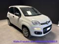 usato FIAT Panda