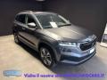 usato SKODA Karoq