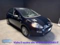 usato FIAT Punto