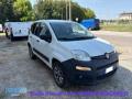 usato FIAT Panda