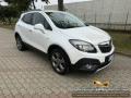 usato OPEL Mokka
