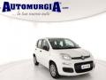 usato FIAT Panda