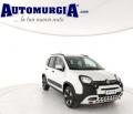 usato FIAT Panda Cross