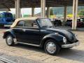 usato VOLKSWAGEN Maggiolino