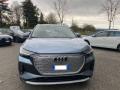 usato AUDI Q4 e tron