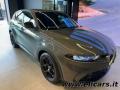 usato ALFA ROMEO Tonale