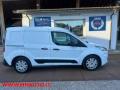 usato FORD Transit Connect