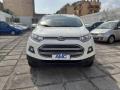 usato FORD EcoSport