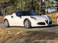 usato ALFA ROMEO 4C