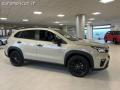 nuovo SUZUKI S Cross
