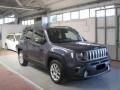 usato JEEP Renegade