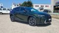 usato LEXUS UX 250h