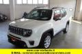 usato JEEP Renegade