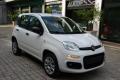 usato FIAT Panda