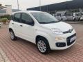 usato FIAT New Panda