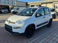 usato FIAT New Panda