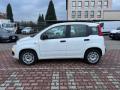 usato FIAT New Panda