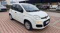 usato FIAT New Panda