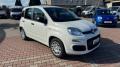 Km 0 FIAT Pandina
