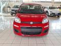usato FIAT Panda
