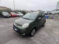 usato FIAT Panda