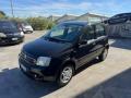 usato FIAT Panda