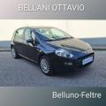 usato FIAT Punto