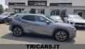 usato LEXUS UX 250h