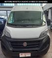 usato FIAT Ducato