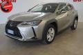 usato LEXUS UX 250h