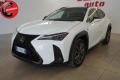 usato LEXUS UX 250h