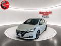 usato NISSAN Leaf