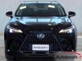 usato LEXUS NX 450h