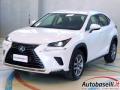 usato LEXUS NX 300