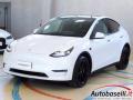 usato TESLA Model Y
