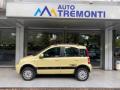 usato FIAT Panda
