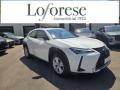 usato LEXUS UX Full Electric