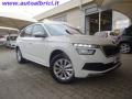 usato SKODA Kamiq