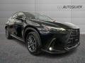 usato LEXUS NX 450h