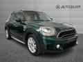 usato MINI Countryman