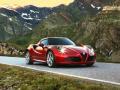 usato ALFA ROMEO 4C