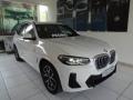usato BMW X3