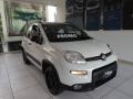 usato FIAT Panda