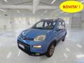 usato FIAT Panda