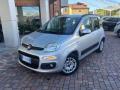 usato FIAT Panda