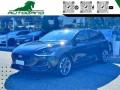 usato FORD Focus