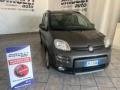 usato FIAT Panda