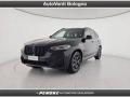 usato BMW X3