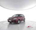usato FIAT Punto